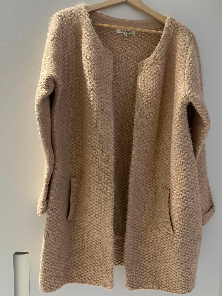 Gilet + sjaal L, Kleding | Dames, Ophalen of Verzenden, Zo goed als nieuw