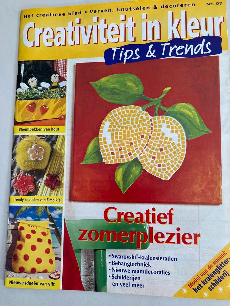 Creativiteit in kleur, Ophalen of Verzenden, Zo goed als nieuw