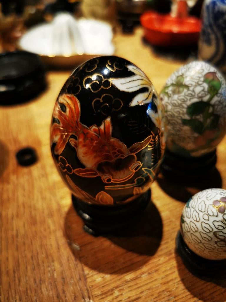 Œufs de poissons koi, Enlèvement ou Envoi