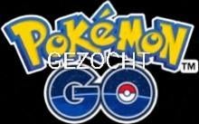 GEZOCHT: Pokemon go, Ophalen of Verzenden, Zo goed als nieuw, Meerdere kaarten