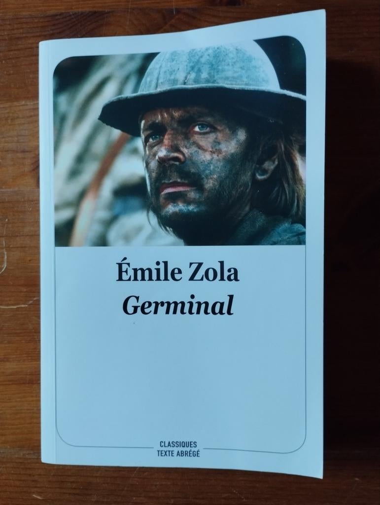 Germinal Emile Zola, Livres, Enlèvement ou Envoi