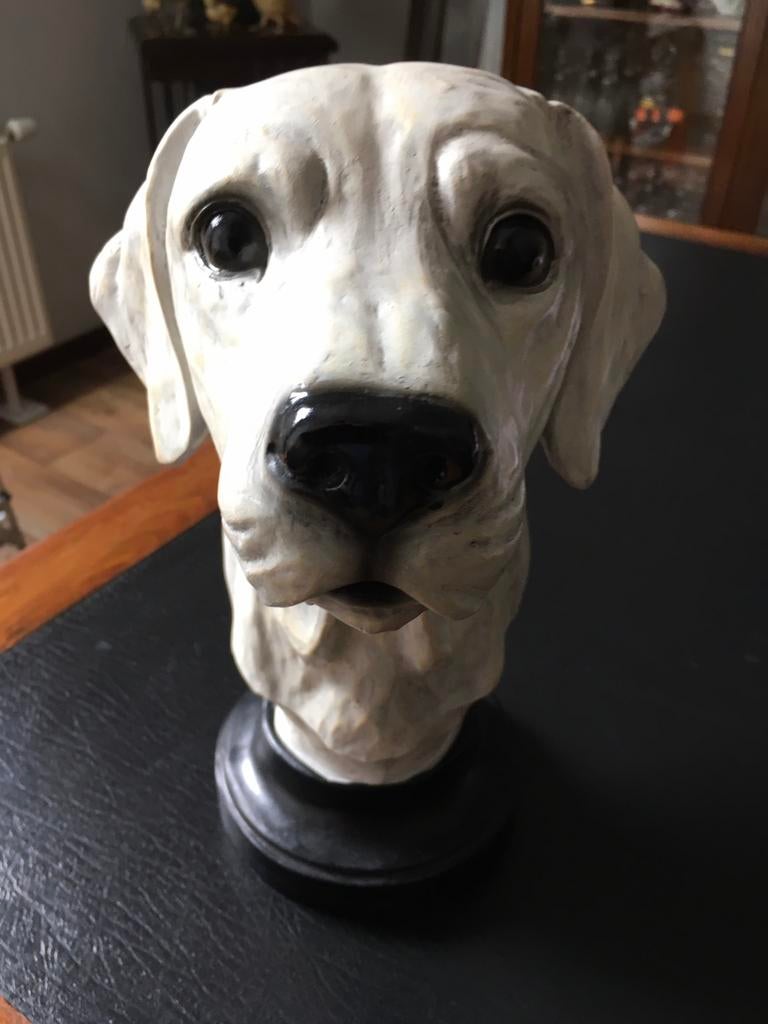 Honden hoofd in resine, Antiek en Kunst, Curiosa en Brocante, Ophalen