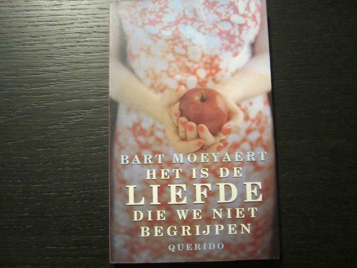 Het is de liefde die we niet begrijpen (Bart Moeyaert), Ophalen of Verzenden, Gelezen