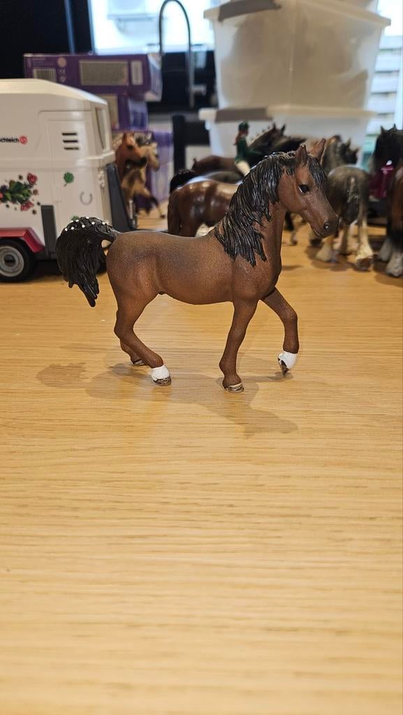 Schleich horse club Arabier hengst, Ophalen of Verzenden, Zo goed als nieuw