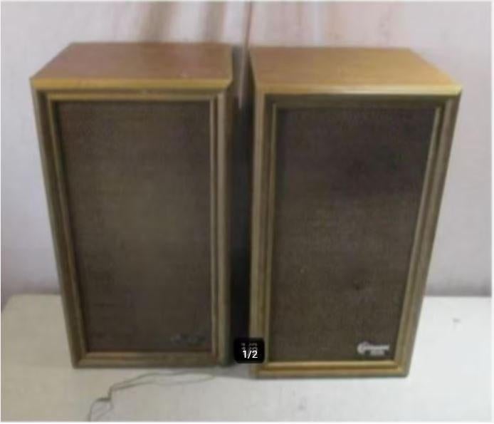 2 Retro Houten Luidsprekers - Dynamic Pearl, Audio, Tv en Foto, Luidsprekerboxen, Ophalen of Verzenden, Zo goed als nieuw, Front, Rear of Stereo speakers