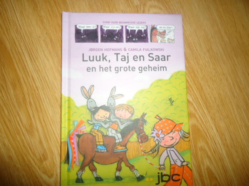 boek 'Luuk, Taj, Saar en het grote geheim, Ophalen of Verzenden, Zo goed als nieuw, Fictie algemeen