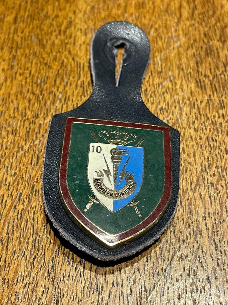 Borsthanger 10 TTR, Verzamelen, Militaria | Algemeen, Verzenden, Landmacht, Embleem of Badge