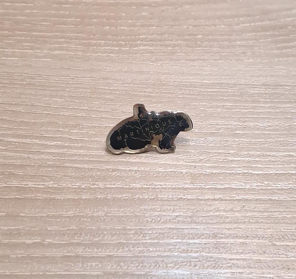 PIN - MARTINIQUE - FRANCE - FRANKRIJK, Envoi, Utilisé, Ville ou Campagne, Insigne ou Pin's
