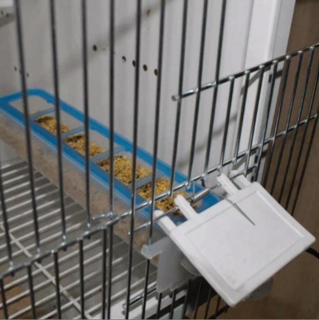Apollo Feeder - Moldes Ave, Dieren en Toebehoren, Ophalen