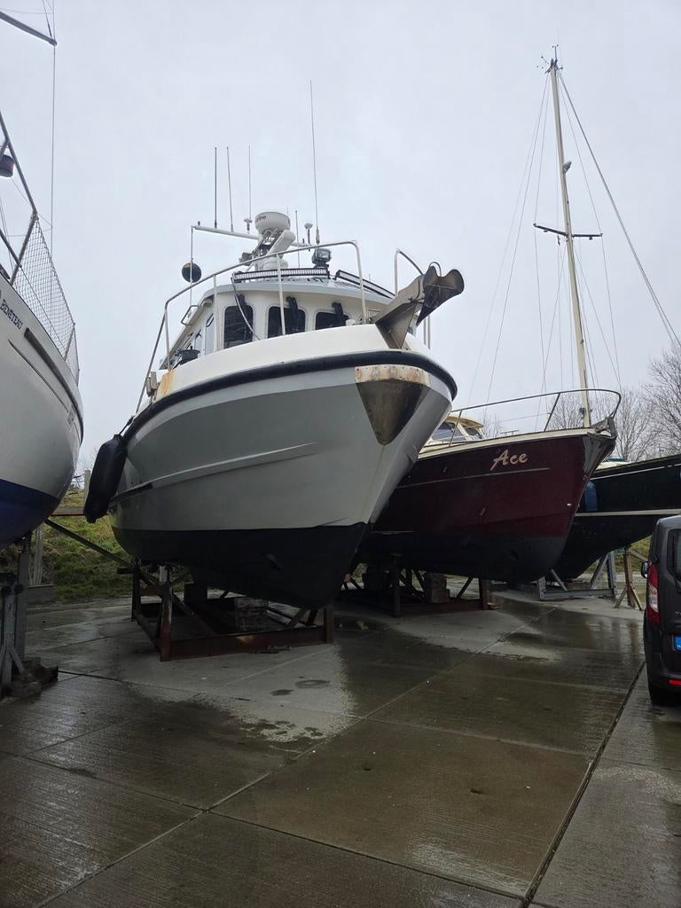 Sygnus cyfish, Watersport en Boten, Ophalen of Verzenden