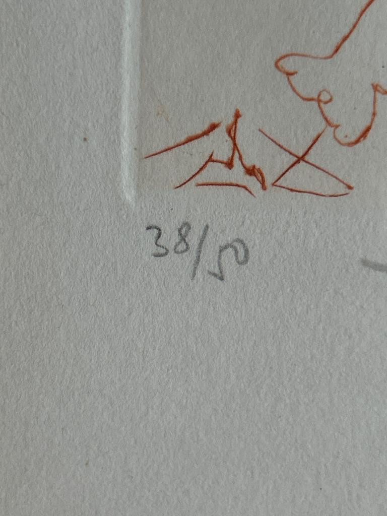 Litho Dali 38/50.  Et EA.  1500€/ 2000€ 3000€les deux, Enlèvement
