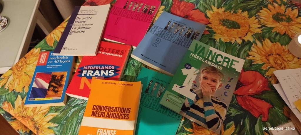 Nederlands, Livres, Langue | Langues Autre, Enlèvement