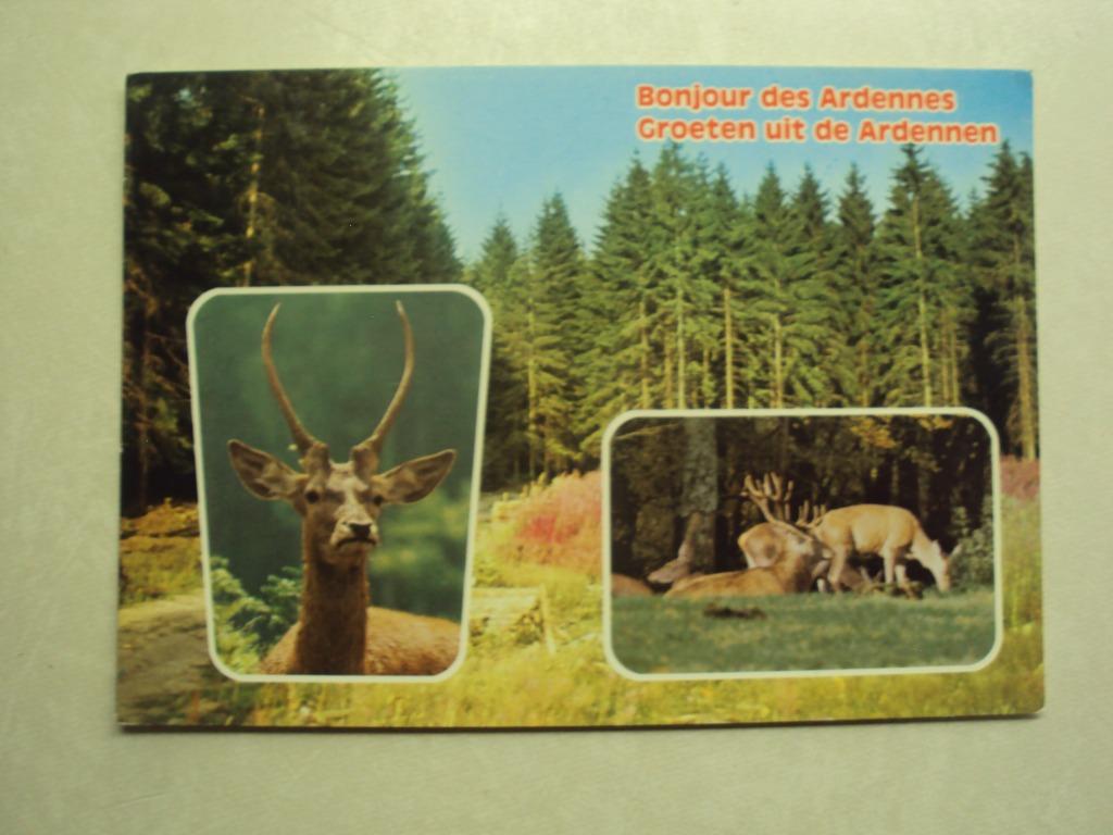 54278 - BONJOUR DES ARDENNES - 3 ZICHTEN - ZIE 2 FOTO'S, Collections, Cartes postales | Belgique, Envoi