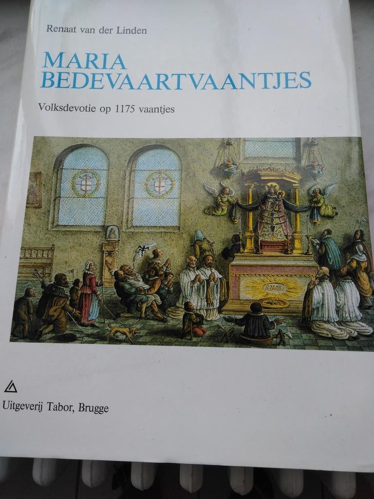 Mooi boek over de Maria bedevaartvaantjes, Ophalen of Verzenden, Nieuw
