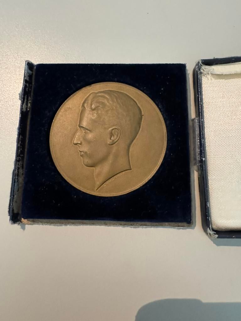 Médaille de bronze du roi Baudouin, Enlèvement