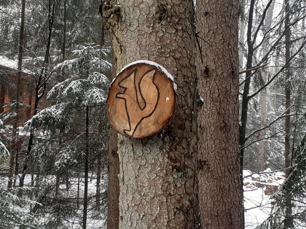 Chalet nabij Durbuy huren?, In bos, Internet, 2 slaapkamers, Eigenaar