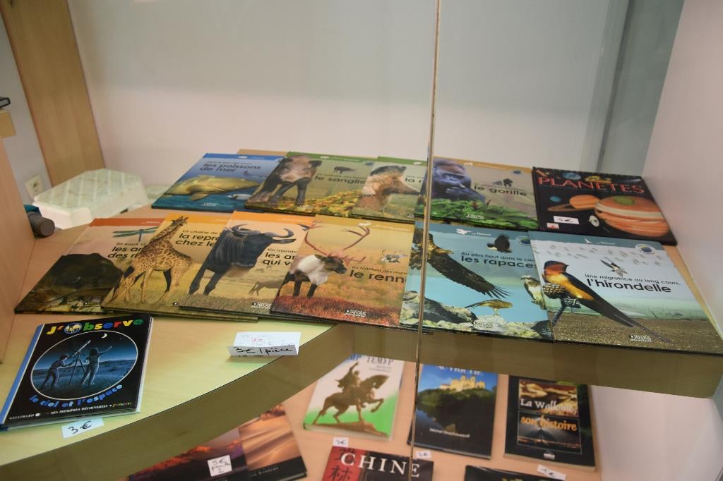 livres, Enlèvement, Comme neuf, Autres niveaux