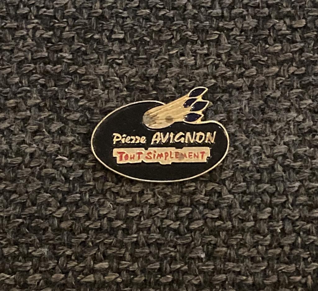 PIN - PIERRE AVIGNON - PEINDRE - SCHILDEREN, Envoi, Utilisé, Autres sujets/thèmes, Insigne ou Pin's
