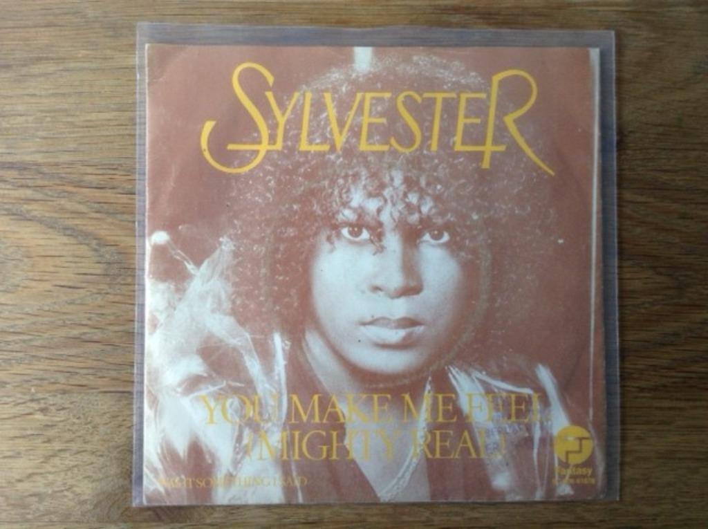 single sylvester, Cd's en Dvd's, Vinyl Singles, Ophalen of Verzenden, 7 inch, R&B en Soul, Single