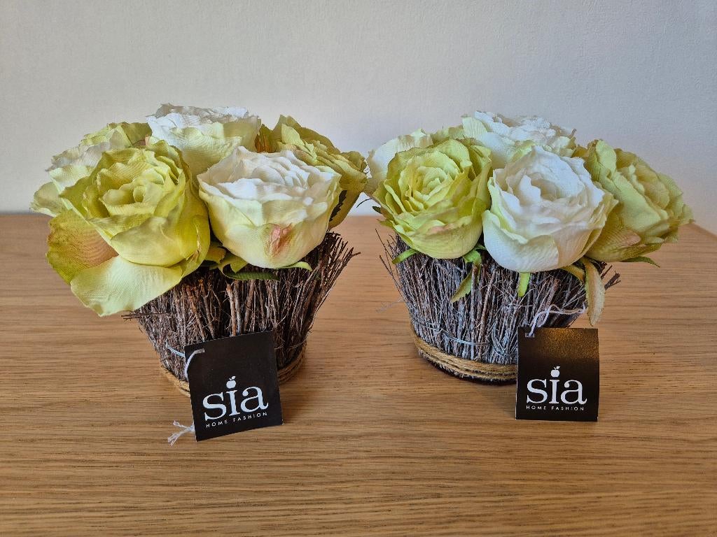 Sia bloemen, Ophalen, Nieuw, Minder dan 50 cm, Minder dan 50 cm