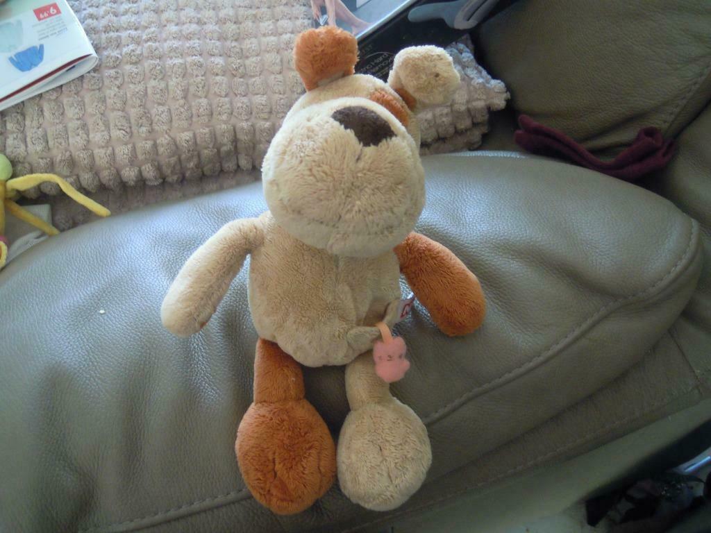 knuffel nici hond(doos 48), Ophalen of Verzenden, Nieuw, Hond