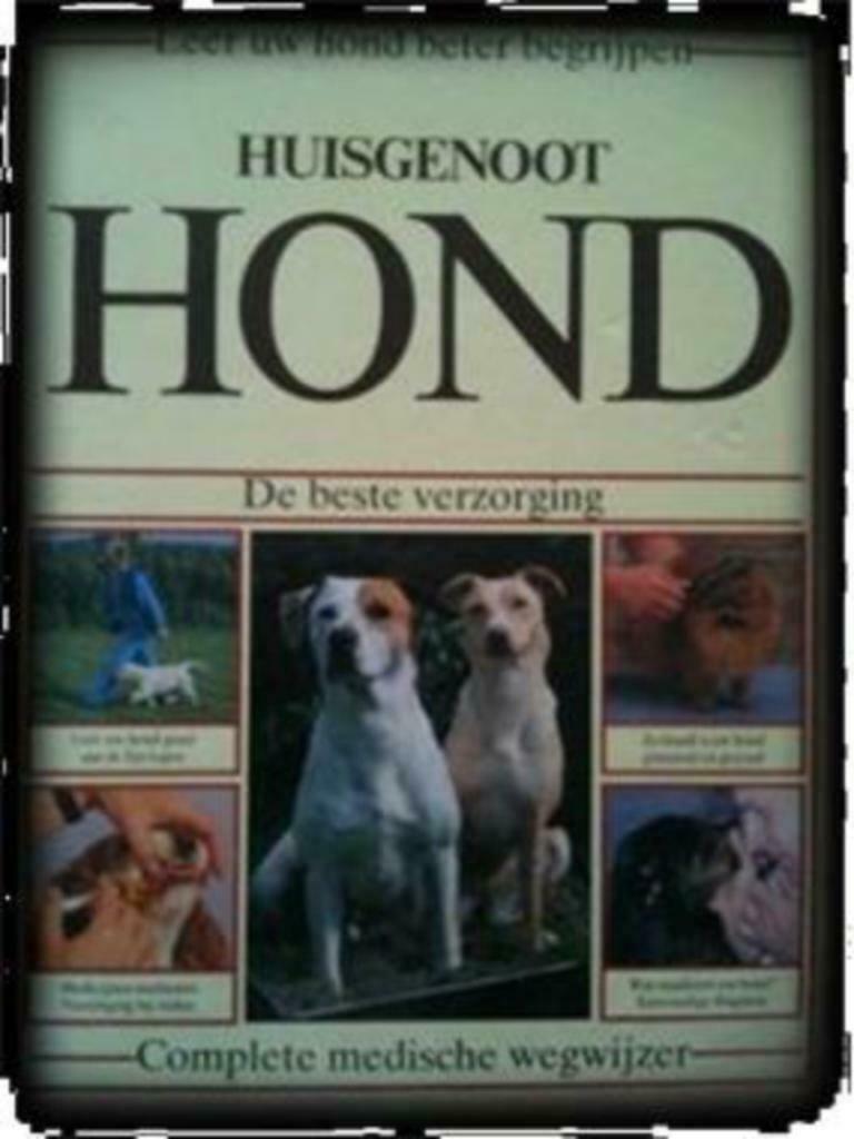 Huisgenoot hond, Alderton, Boeken, Dieren en Huisdieren, Gelezen, Honden, Ophalen of Verzenden