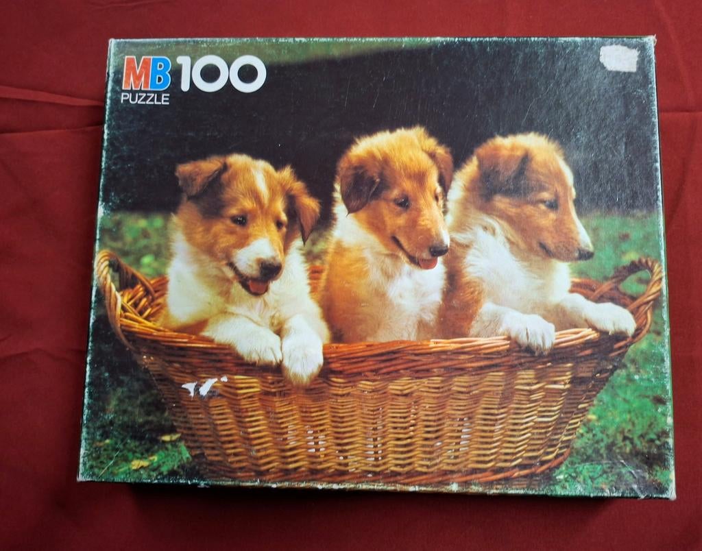 Puzzel honden : Schotse Collie puppy's 100 Stukken, Ophalen of Verzenden, Legpuzzel