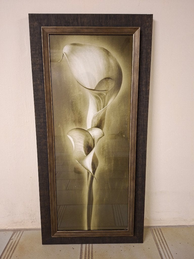 Schilderij, Ophalen, Achter glas, Bloemen