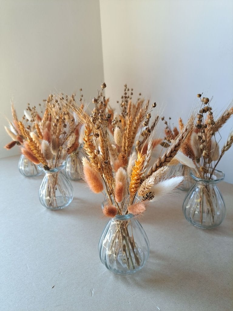 18 vaasjes met oranje droogbloemen, Ophalen, Zo goed als nieuw