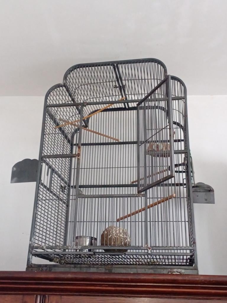 Kooi, Dieren en Toebehoren, Ophalen