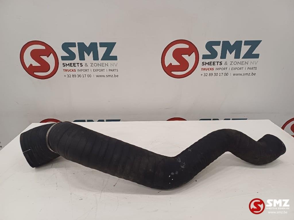 Hose Caterpillar, Zakelijke goederen