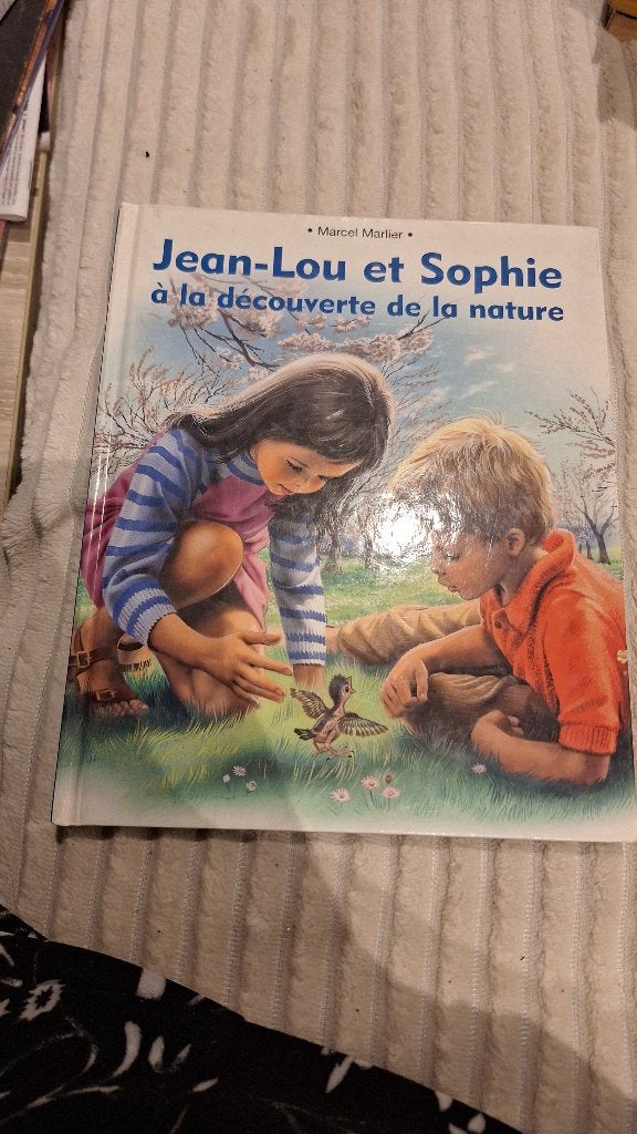 Livre Jean-lou et sophie, Enlèvement, Comme neuf