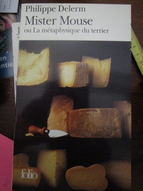 "Mister Mouse ou la métaphysique du terrier" Philippe Delerm, Livres, Romans, Utilisé, Belgique, Enlèvement ou Envoi