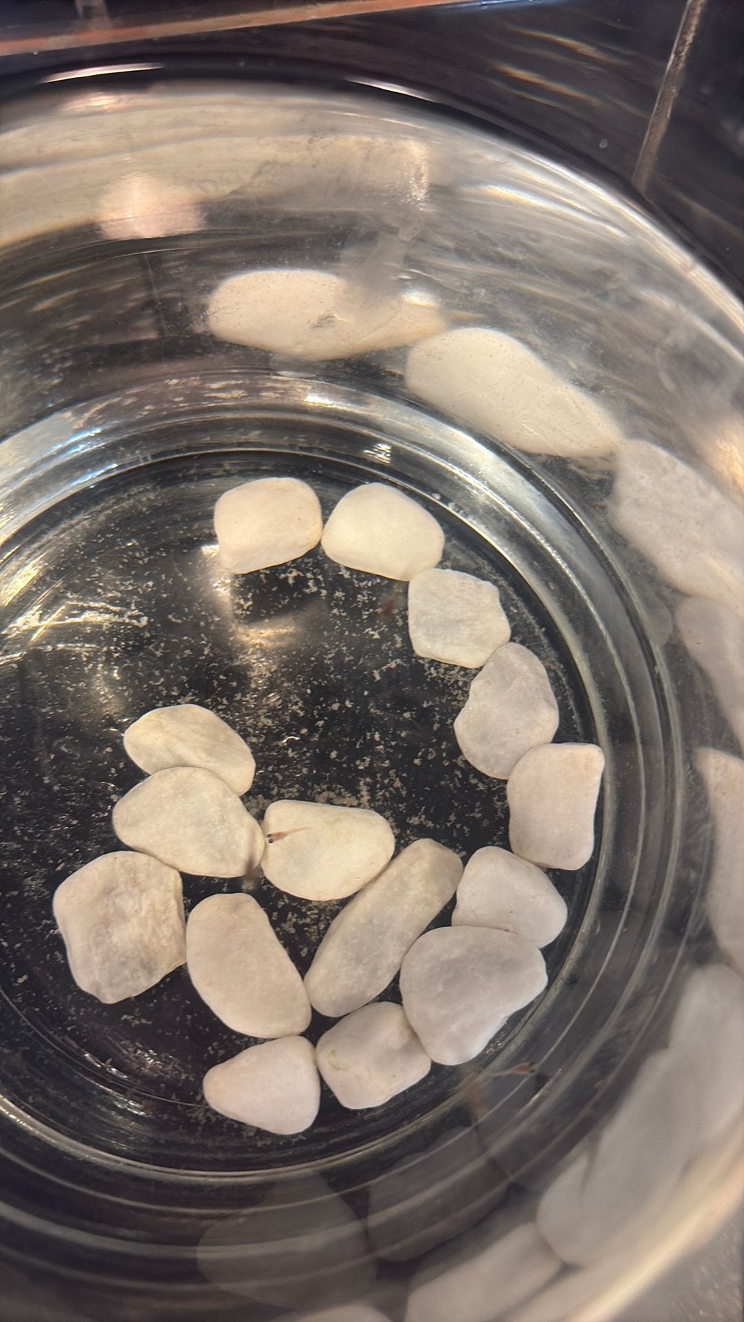 Guppy’s vissen, Ophalen of Verzenden, Munten en Bankbiljetten