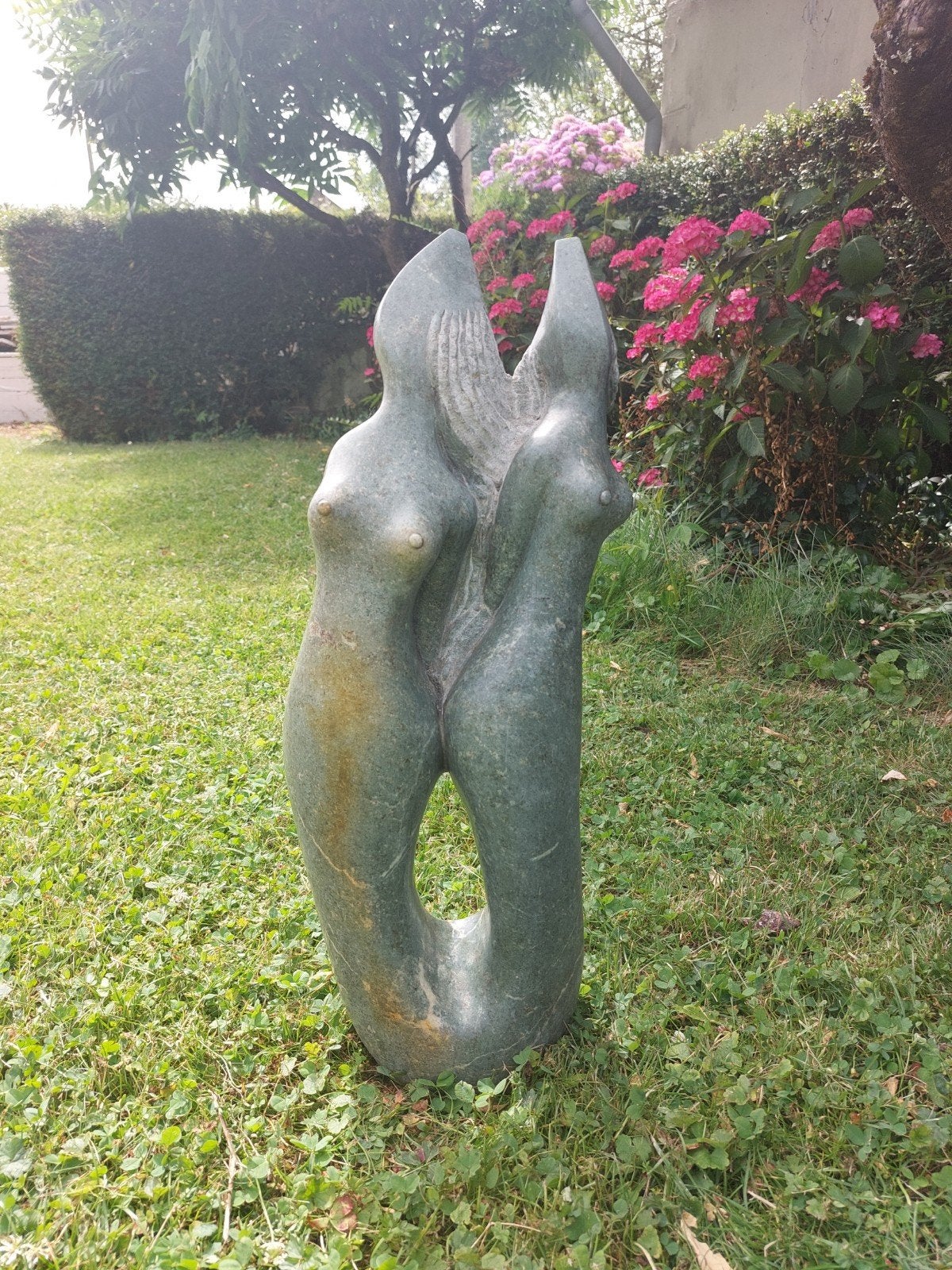 Image, T makaza. sirènes, Jardin & Terrasse, Enlèvement