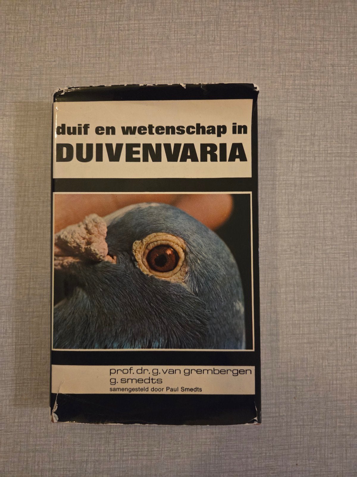 Pigeon divers, Enlèvement ou Envoi, Utilisé, G. Van Grembergen  - G. Smedts.