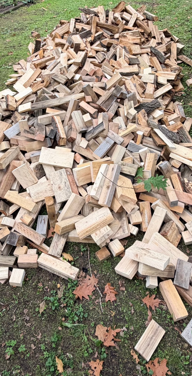 Brandhout, eik, berk, aanmaakblokken, enz, Tuin en Terras, 6 m³ of meer, Ophalen, Eikenhout