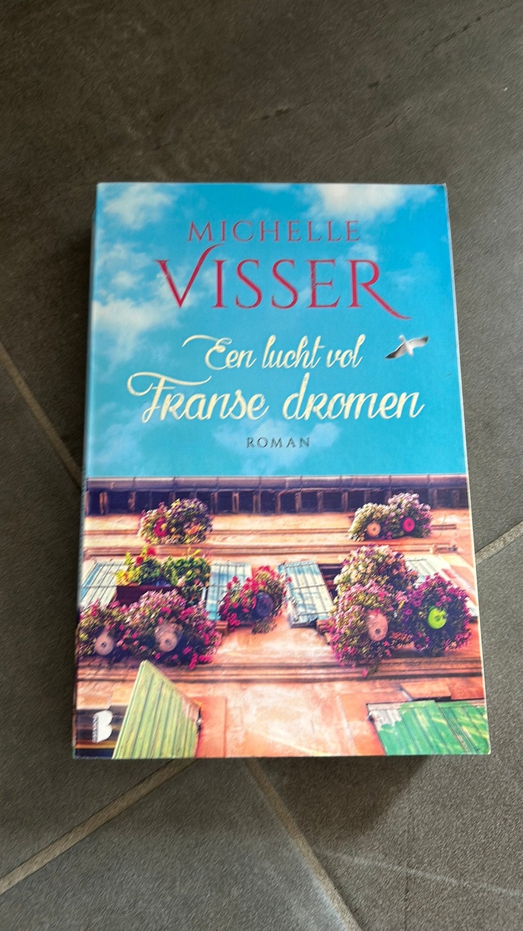 Michelle Visser - Een lucht vol Franse dromen, Enlèvement ou Envoi, Michelle Visser