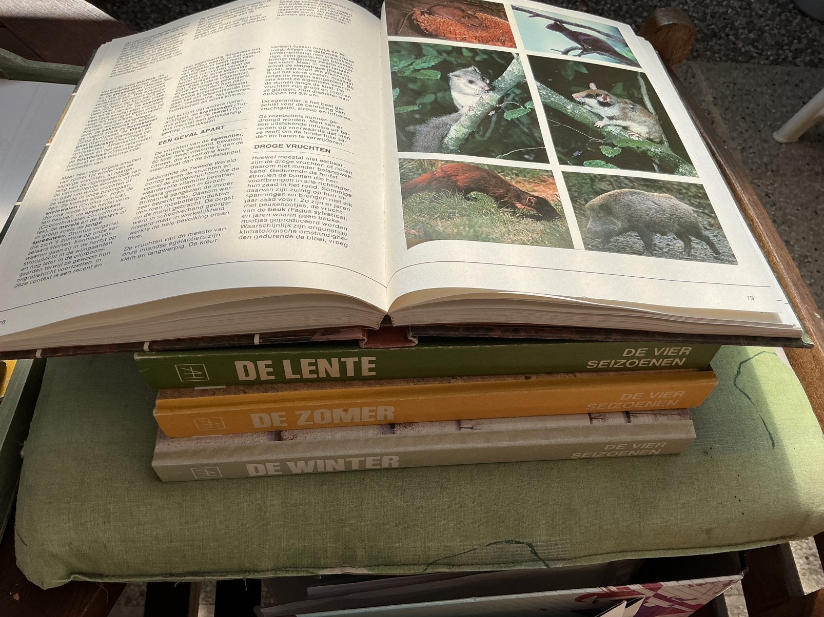 Artis : reeks (4) de vier seizoenen, Boeken, Ophalen, Zo goed als nieuw