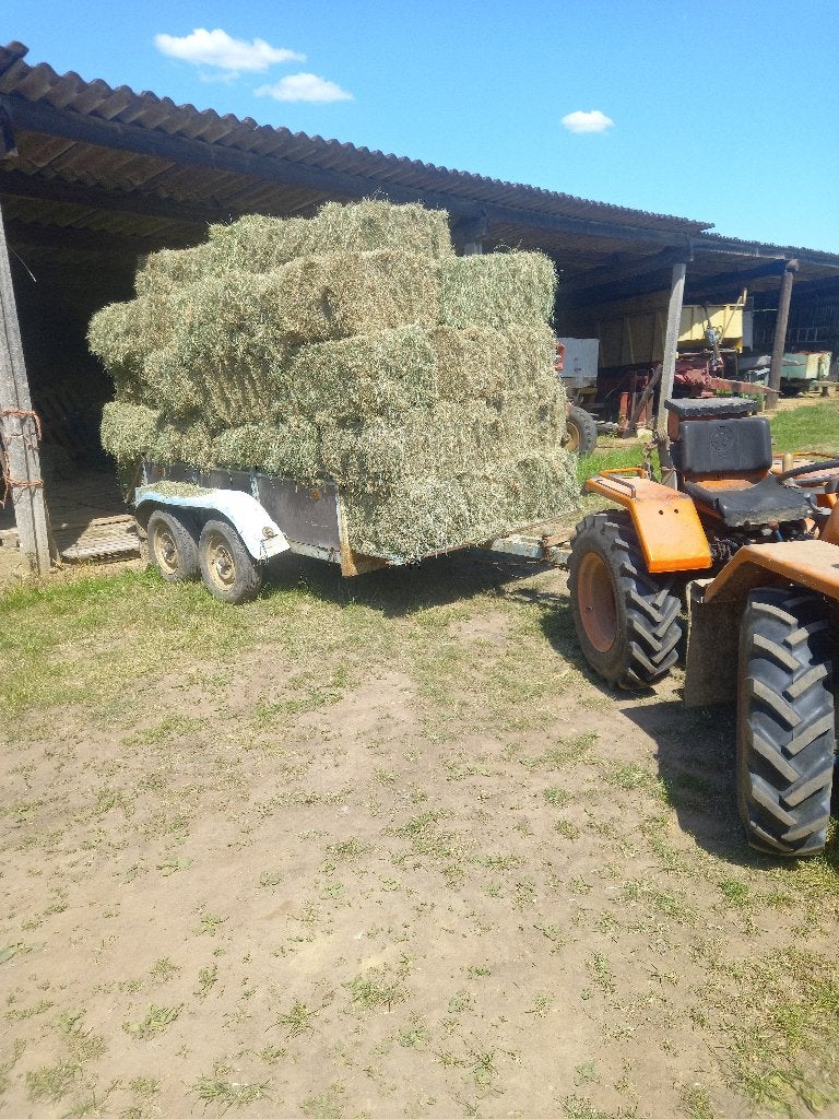 hooi in bekkevoort, Dieren en Toebehoren, Ophalen