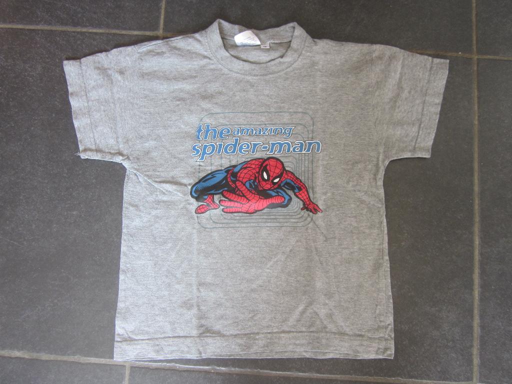 grijs T-shirt met spiderman, Kinderen en Baby's, Kinderkleding | Maat 116, Gebruikt, Ophalen of Verzenden, Spiderman, Shirt of Longsleeve