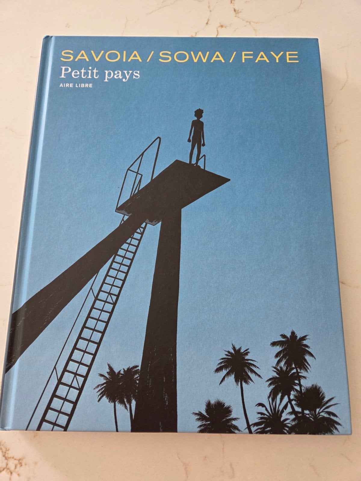 Boek Petit Pays, Boeken, Kunst en Cultuur | Architectuur, Ophalen of Verzenden, Zo goed als nieuw, Savoie