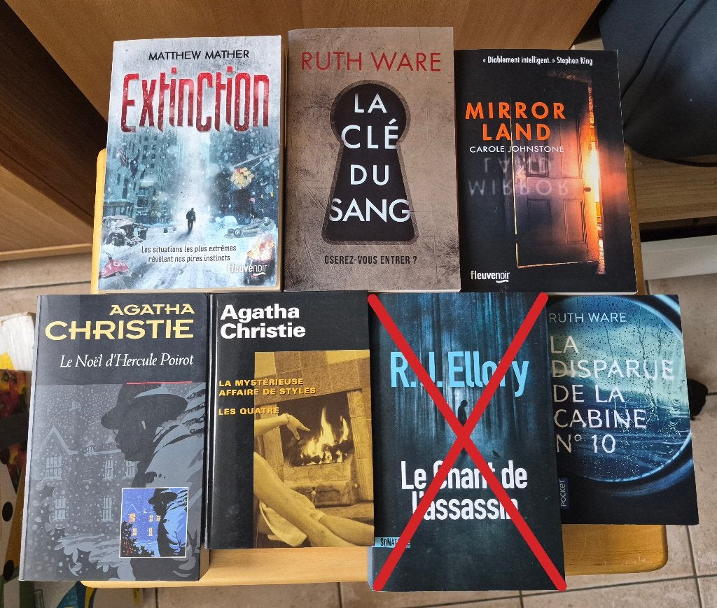 Lot de romans / thrillers / policiers divers, Enlèvement