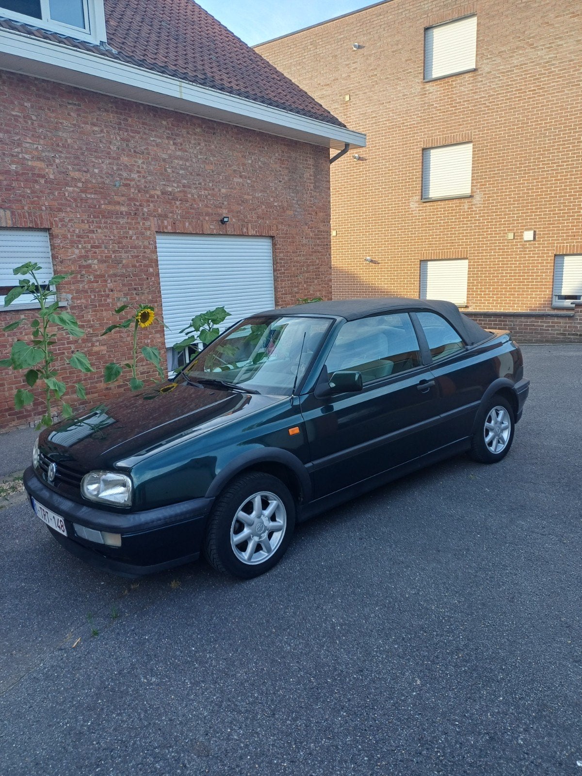 VW GOLF CABRIO BJ95, Autos, Volkswagen, Particulier, Golf, Essence, Enlèvement