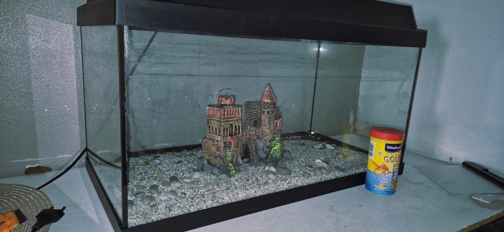 Aquarium, Ophalen