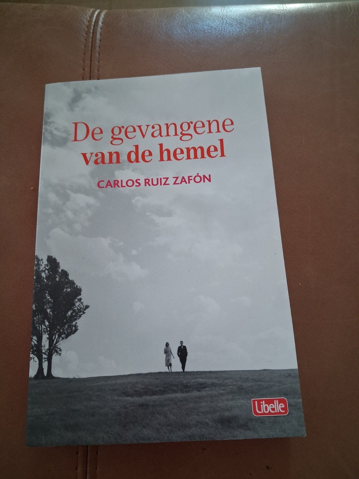 De gevangene van de hemel, Ophalen