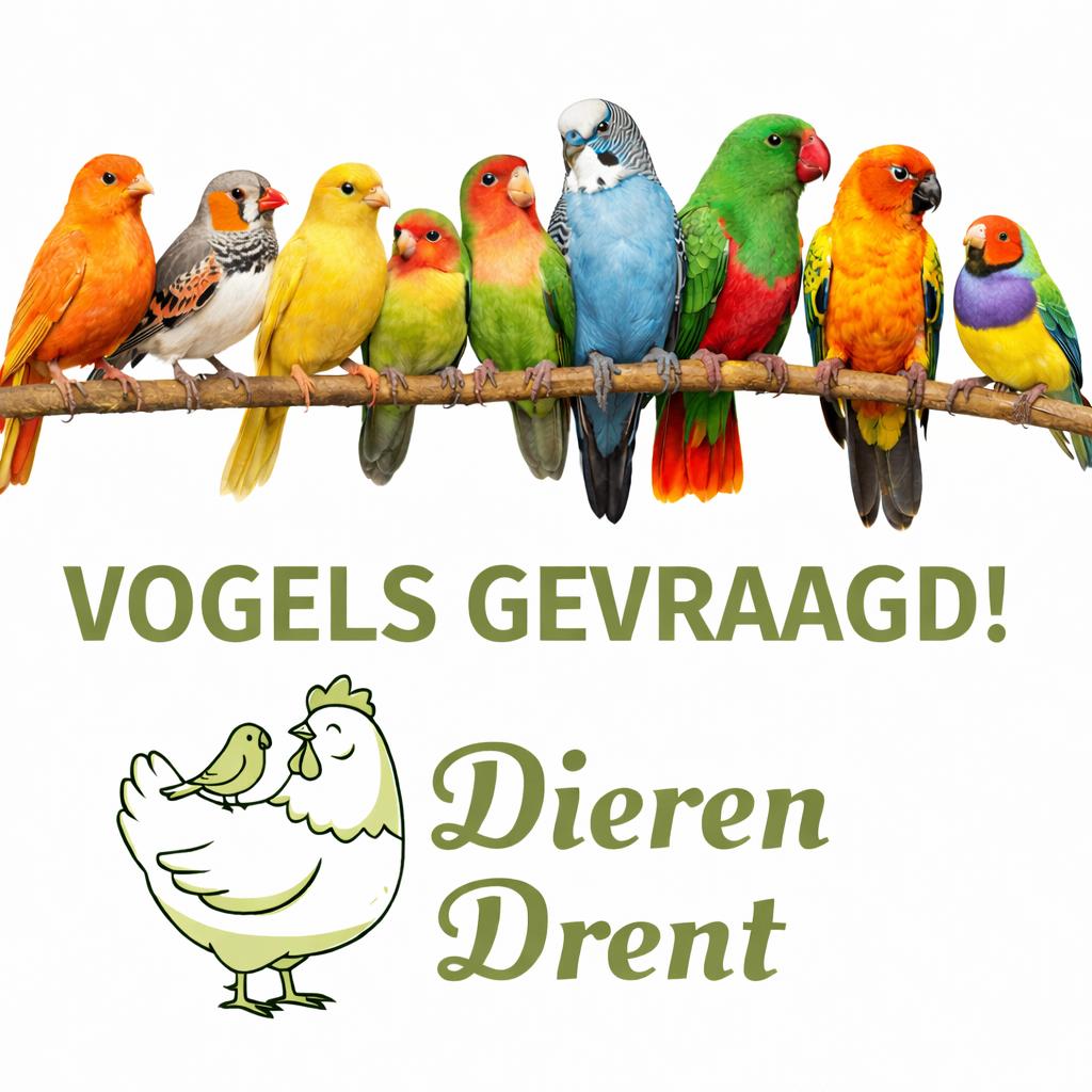 vogels gevraagd