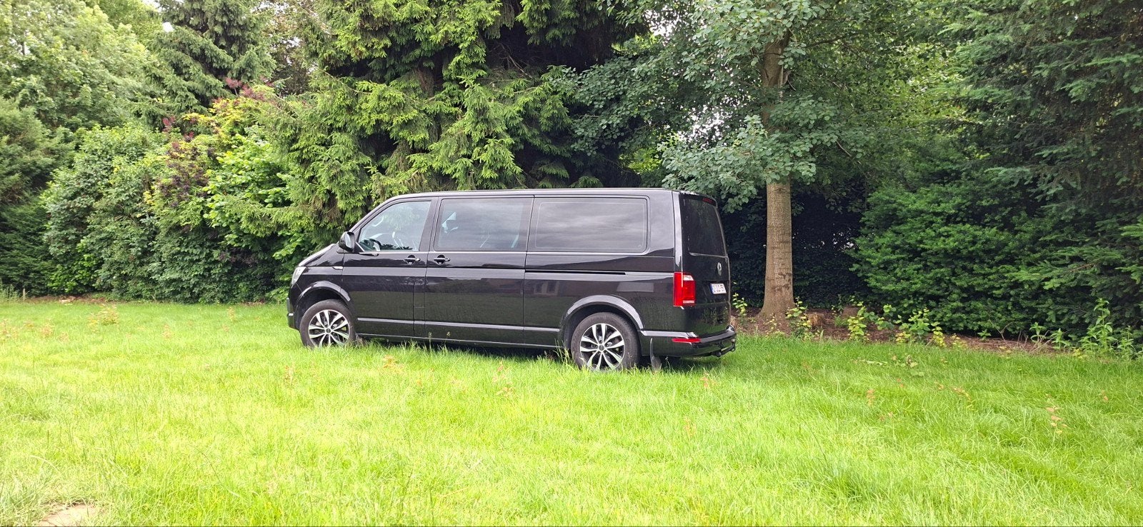 VW Transporter T6 Business Edition Light Cargo 5 places, Autre carrosserie, 5 portes, Diesel, Automatique