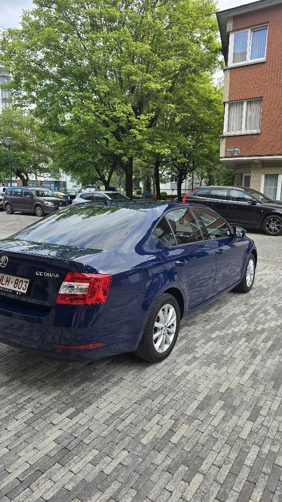 ŠKODA OCTAVIA, Auto's, Skoda, Automaat, Euro 6, Blauw, 5 deurs