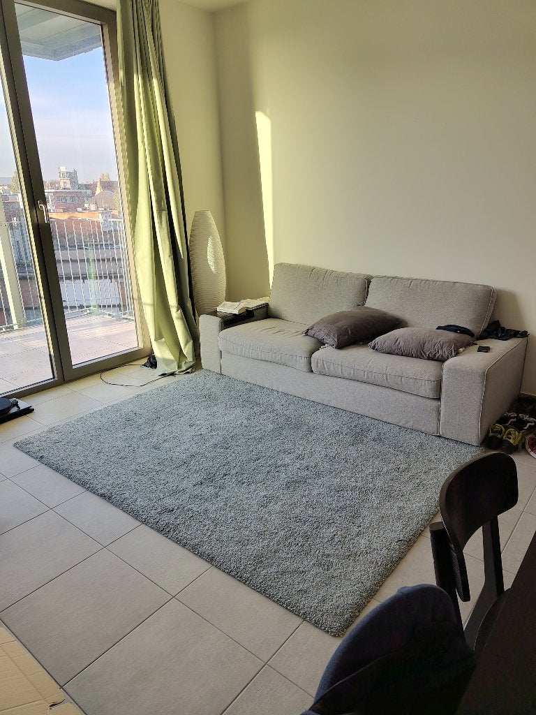Ikea SPENTRUP tapijt, 160x230 cm, Ophalen, 150 tot 200 cm, 200 cm of meer, Zo goed als nieuw
